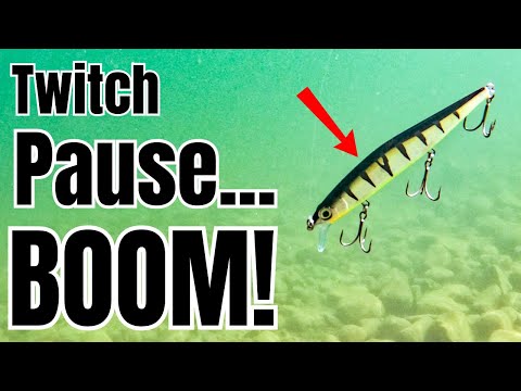 Видео: ЕДИНСТВЕННОЕ видео о джеркбейте, которое вам когда-либо понадобится!