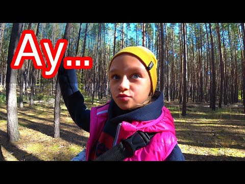 Видео: VLOG Приключения в Лесу Пикник с друзьями Рыбалка