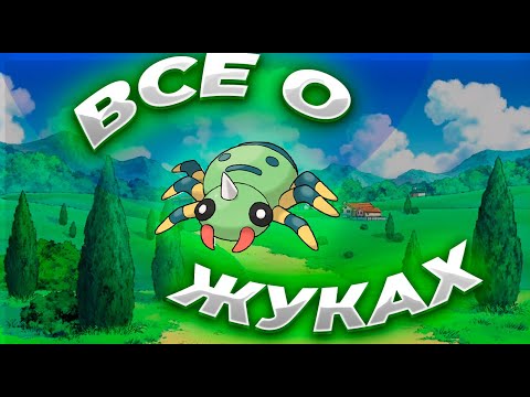 Видео: Все об агрессивных жуках