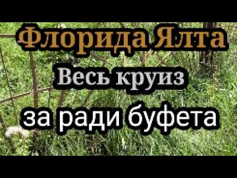 Видео: ФлоридаЯлта.Зачем в круиз,если ходить по городам трудно?