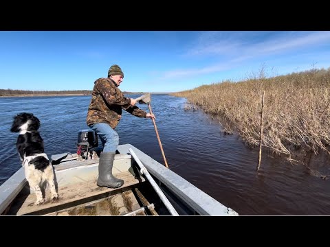 Видео: Если попался налим, зачем нам язь. Рыбалка на фитили на Севере.
