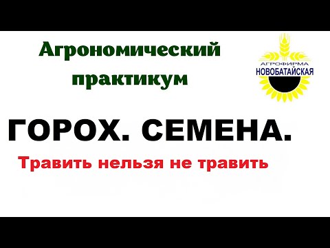 Видео: ГОРОХ. СЕМЕНА. Травить нельзя не травить.