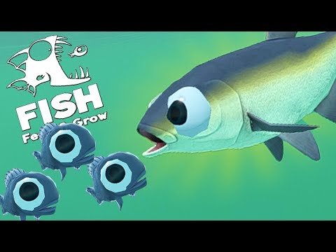 Видео: СТАЯ МАЛЬКОВ УКЛЕЕК ВЫЖИВАЕТ В РЕЧКЕ, ОБНОВЛЕНИЕ | Feed and Grow Fish