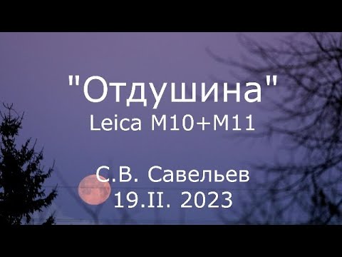 Видео: С.В. Савельев - "Отдушина". Leica M10 + M11