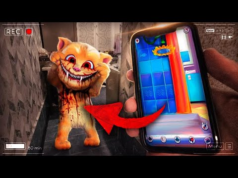 Видео: НИКОГДА НЕ ИГРАЙ В ГОВОРЯЩИЙ ДЖИНДЖЕР В 3:00 ЧАСА НОЧИ! *он вылез из телефона* ! потусторонние