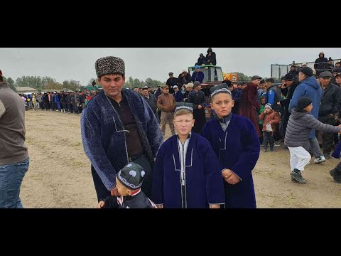 Видео: Элбой Полвон хамда Ином Полвонларни катта кураш туйини 2-кисми 27.10.2024 й.