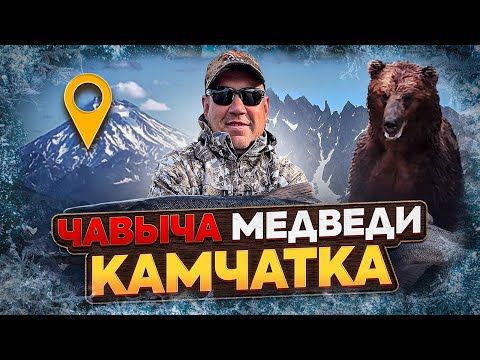 Видео: ЧАВЫЧА, МЕДВЕДИ, КАМЧАТКА (4К)