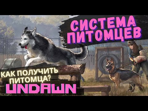 Видео: ГАЙД как завести ПИТОМЦА В UNDAWN MOBILE/PC #undawnguide #undawn #undawncreator