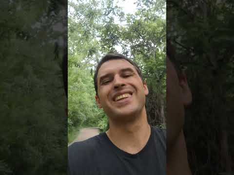 Видео: Замена водительских прав в Канаде. Личный опыт, Монреаль, Квебек.
