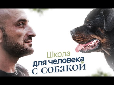 Видео: Школа Антуана Наджаряна "Искусство общения с собакой" От сердца к сердцу (1 поток)