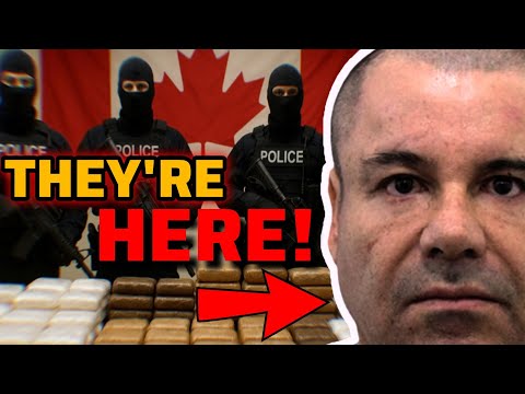 Видео: Канада в кризисе: мексиканские картели творят немыслимое!