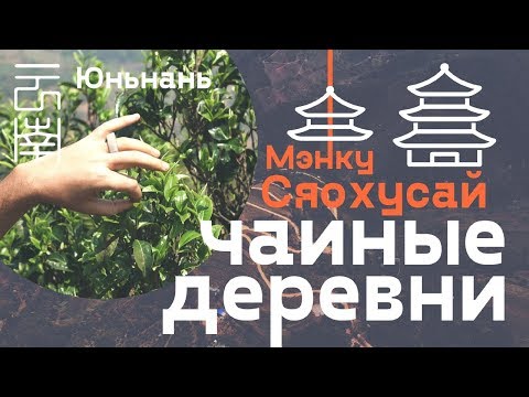 Видео: Чайные деревни. Мэнку, Сяохусай. Юньнань