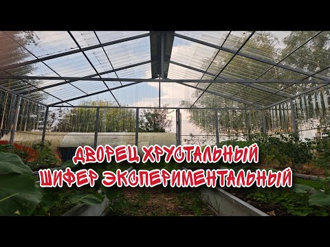 Видео: Прозрачный шифер. Эксперимент! Отзывы через год!