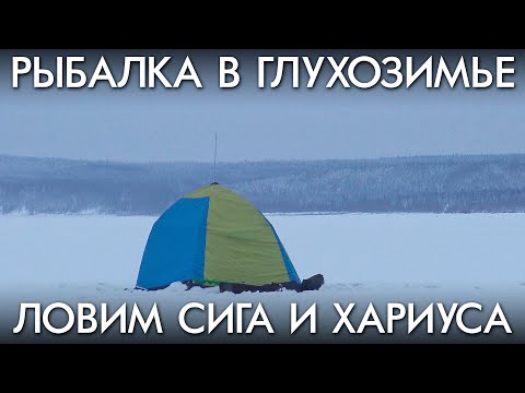 Видео: РЫБАЛКА В ГЛУХОЗИМЬЕ / ЛОВИМ СИГА И ХАРИУСА