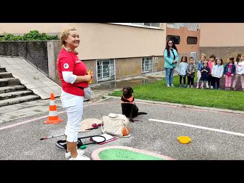 Видео: Фондация "Очи на 4 лапи"  на гости в ДГ 61 "Шарено петле"