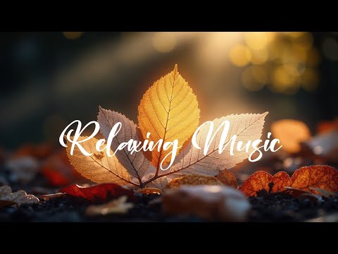 Видео: Мелодии Золотой Осени ~ Расслабляющая Музыка Гитары и Фортепиано для Учебы и Фокуса 🎶