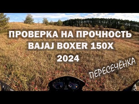 Видео: Проверка мотоцикла BAJAJ BOXER 2024 на прочность пересечённой местностью