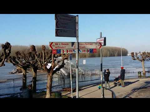 Видео: 212. Жизнь в Германии. Река Рейн вышла из берега. Германия. Кёльн 09.02.2021