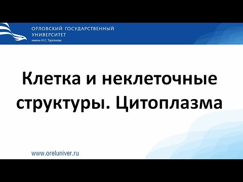 Видео: Гистологические препараты к теме: "Клетка и неклеточные структуры. Цитоплазма."