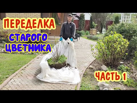 Видео: Переделка старого цветника. Вместо старых роз - взрослые гортензии! Часть 1.