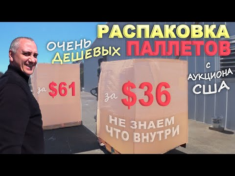 Видео: Паллеты почти задаром! Что попалось в дешевых паллетах? Купили не глядя палеты в США - Распаковка