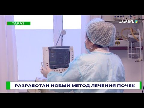 Видео: Разработан новый метод лечения почек