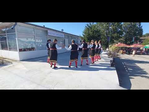 Видео: Гагаузко хоро
