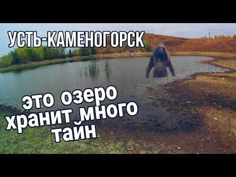 Видео: Усть Каменогорск 2022 Озеро за Лесхозом коровий пляж как он выглядит сегодня Өскемен