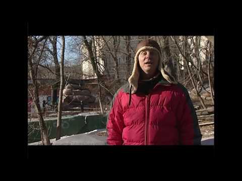 Видео: Приморье with love Новогодняя ёлка