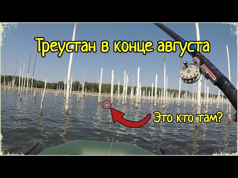 Видео: НАКОНЕЦ-ТО ТРЕУСТАН! НОЧЬ И ДЕНЬ НА ЛОДКЕ. ЖАРКО КАК В АФРИКЕ!
