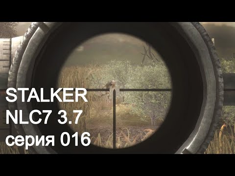 Видео: StalkerNLC7 3.7. Серия 016. Мосинка деда