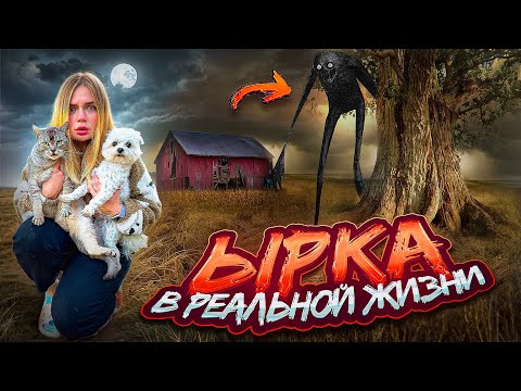 Видео: ЫРКА В РЕАЛЬНОЙ ЖИЗНИ | ЗАСТРЯЛИ В ЛЕСУ С КОТОМ И СОБАКОЙ