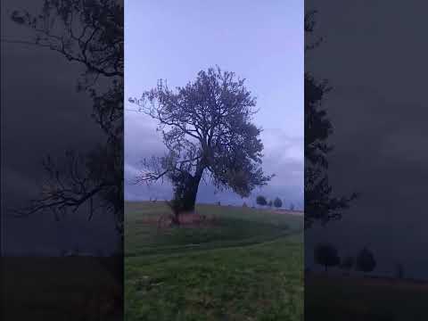 Видео: 4 жовтня 2025 р.
