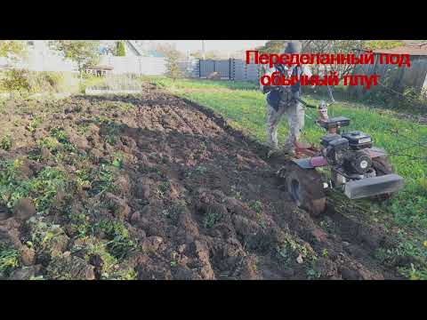 Видео: Весенний результат после осенней вспашки ПЦ-1-18