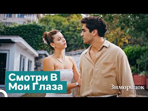 Видео: Не Дадим Им Слово, Моя Любимая! | Зимородок