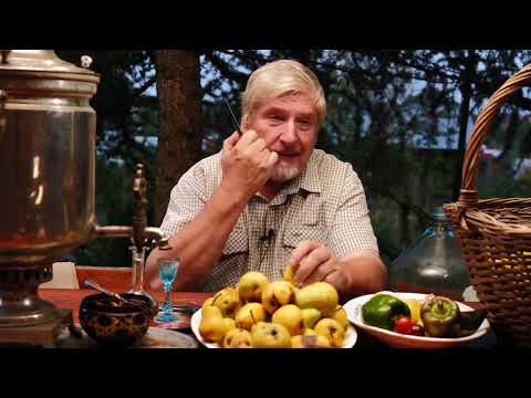 Видео: С. Савельев  Изготовление грушевой водки