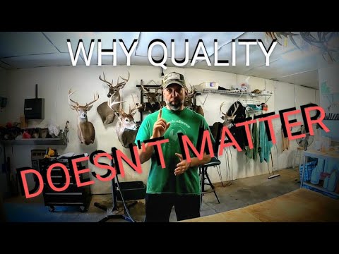 Видео: ДВЕ САМЫЕ ВАЖНЫЕ вещи для того, чтобы стать успешным таксидермистом?