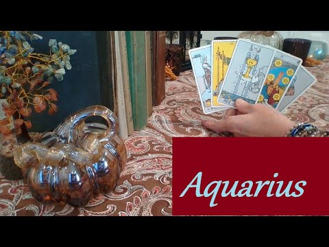 Видео: Водолей, середина ноября 2025 г. ❤💲 ДА! НАМНОГО ЛУЧШЕ, ЧЕМ ДЕМОНИЧНЫЕ ПИЯВКИ ЛЮБОВЬ И КАРЬЕРА #Во...