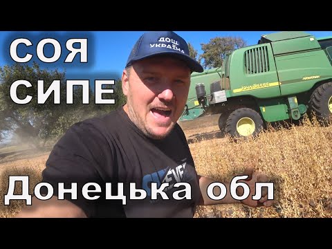 Видео: Соя в Донецькій області сипе як скажена!!! Секрет врожайності сої в посушливих умовах.