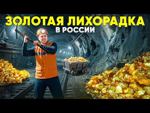 Видео: Завод на грани закрытия. Едем добывать золото | Золотая лихорадка 2025