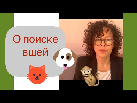 Видео: Мы все здесь ошибаемся! Как по-польски искать и найти вместо искать и попасть впросак? Серегина