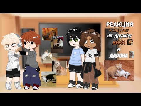 Видео: [  ♥  ] — Реакция «Лисов» на дружбу Нила и Аарона  || 1/1 ||