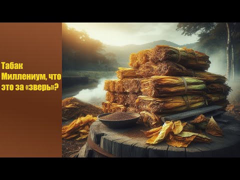 Видео: Обзор покупного табака Миллениум, Вирджиния GOLD