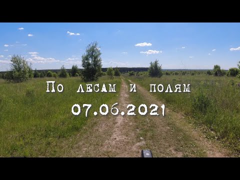 Видео: По лесам и полям. Hyperlapse. 07.06.2021