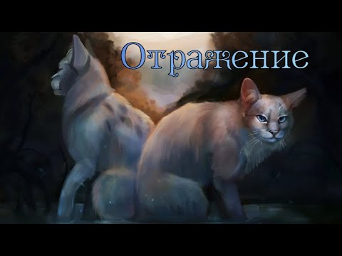 Видео: ЗАКАЗ Коты Воители Чистое Небо: Отражение [Король и Шут]