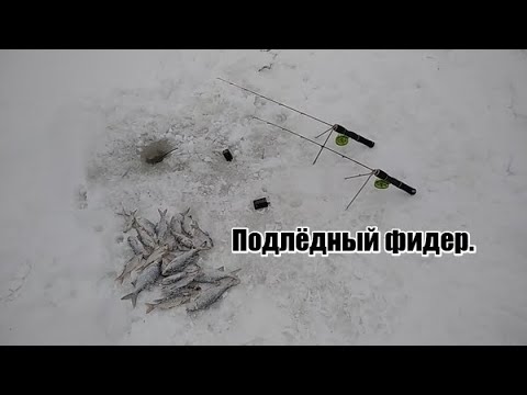 Видео: Рыбалка на зимнюю удочку и подлёдный фидер.