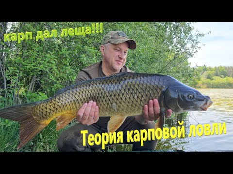 Видео: Теория карповой ловли. Карп дал леща!!!