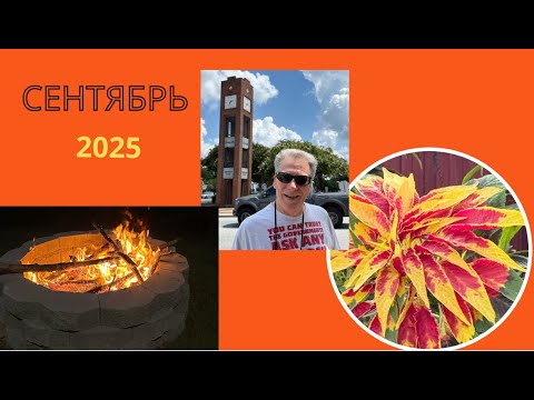 Видео: GS6937 Солянка сентября. 2025