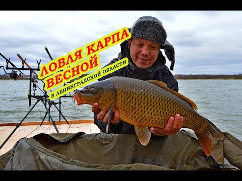 Видео: Ловля карпа в Ленинградской области. Отчет от 4 и 5 мая