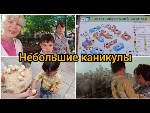 Видео: Поехали на отдых/Срочно нужен слон😀/Шикарный хвост у павлина/Зоопарк в Екатеринбурге